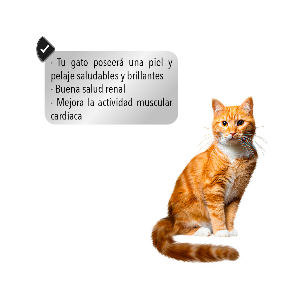 CROQUETAS PARA GATO CROKIPET CAT Alimento Premium Etapa Adulta
