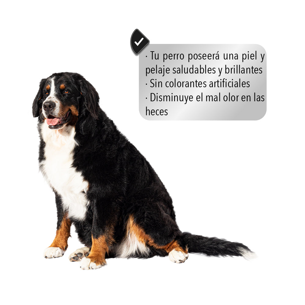 CROQUETAS PARA PERRO CROKIPET Alimento Premium Etapa Adulta