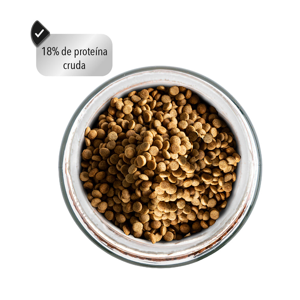 CROQUETAS PARA PERRO CROKIPET Alimento Premium Etapa Adulta