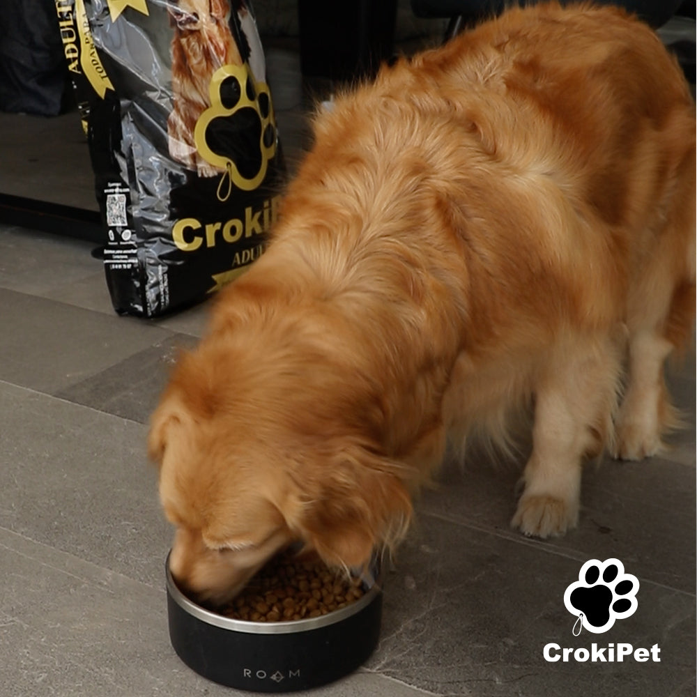CROKIPET (SALDOS)