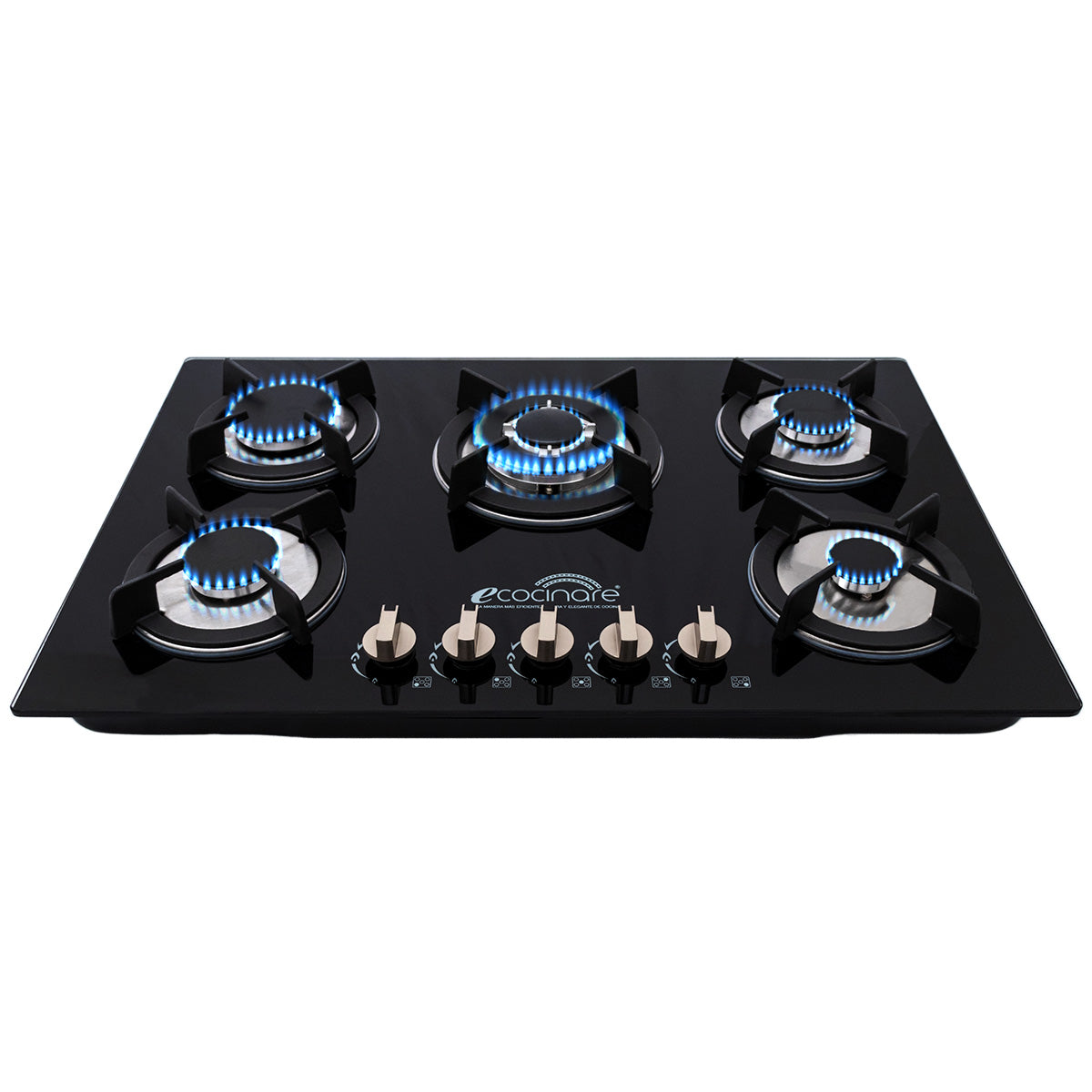 PARRILLA DE GAS EMPOTRABLE CON 5 QUEMADORES